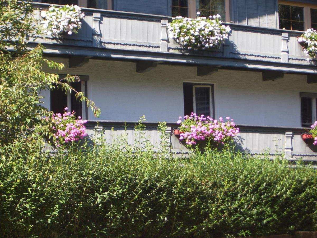 Meckyheim Apartman Mayrhofen Kültér fotó