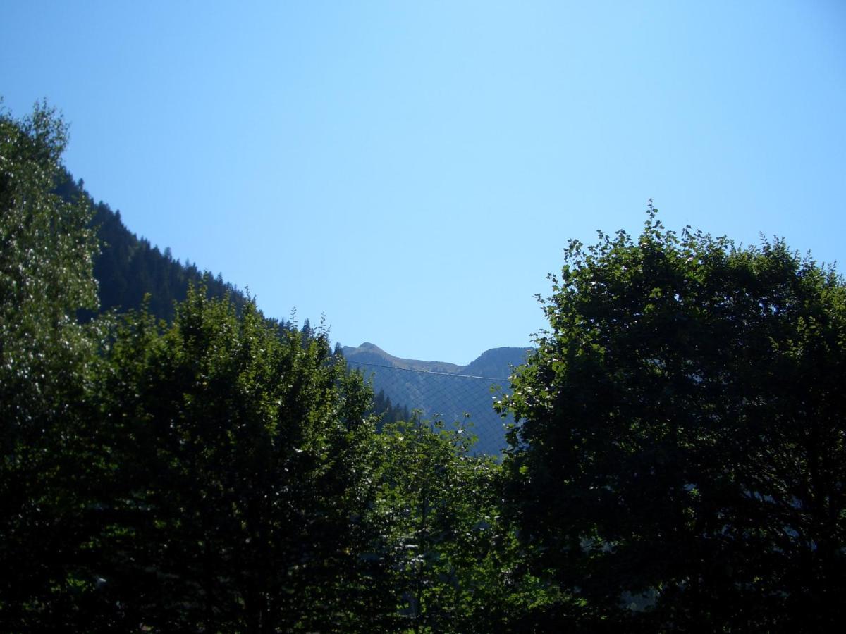 Meckyheim Apartman Mayrhofen Kültér fotó