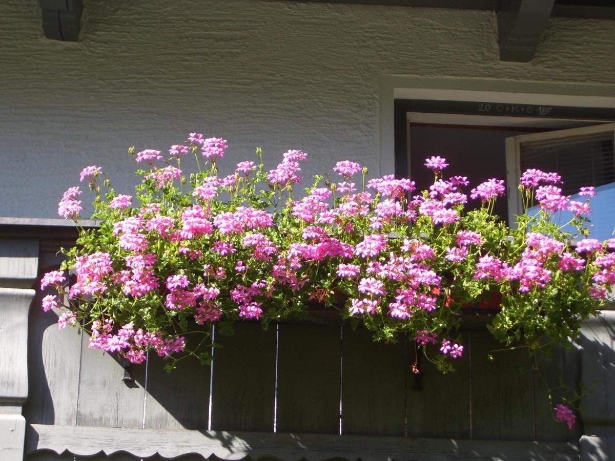 Meckyheim Apartman Mayrhofen Kültér fotó